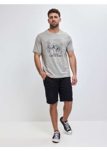 טישרט עם דפוס