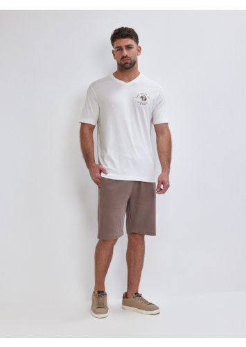 טישרט עם דפוס וי