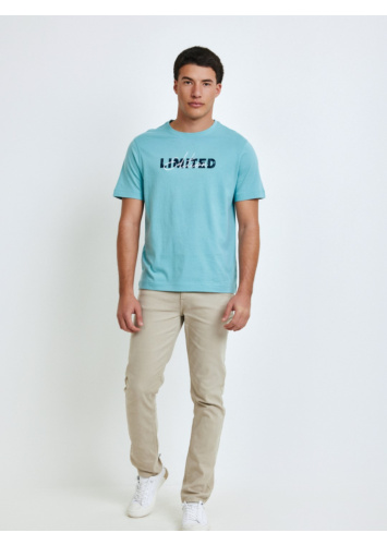 טישרט עם דפוס ורקמה