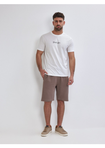 טישרט עם דפוס