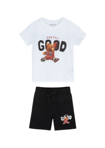 חליפת דב כדורסלן