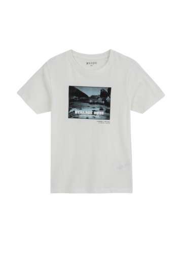 טי בייסיק עם דפוס