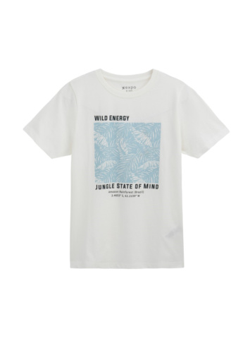 טי בייסיק עם דפוס