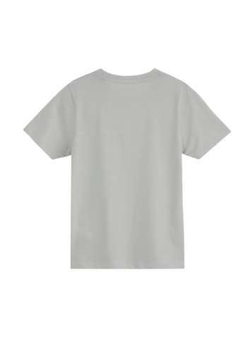 טי בייסיק עם דפוס