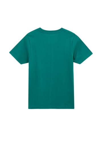 טי בייסיק עם דפוס