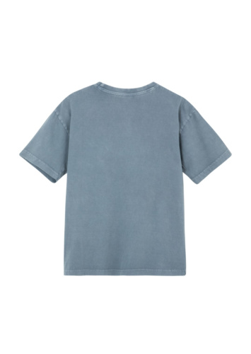 MAUI-טי שטוף עם כריש