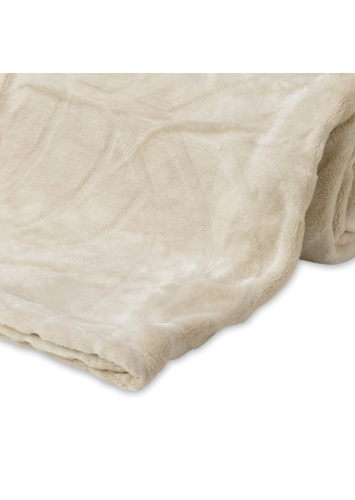 כירבולית 160*130