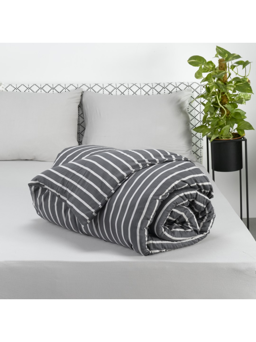 ציפה לשמיכה ג'רסי פסים יחיד 100% כותנה 150/200 main product photo